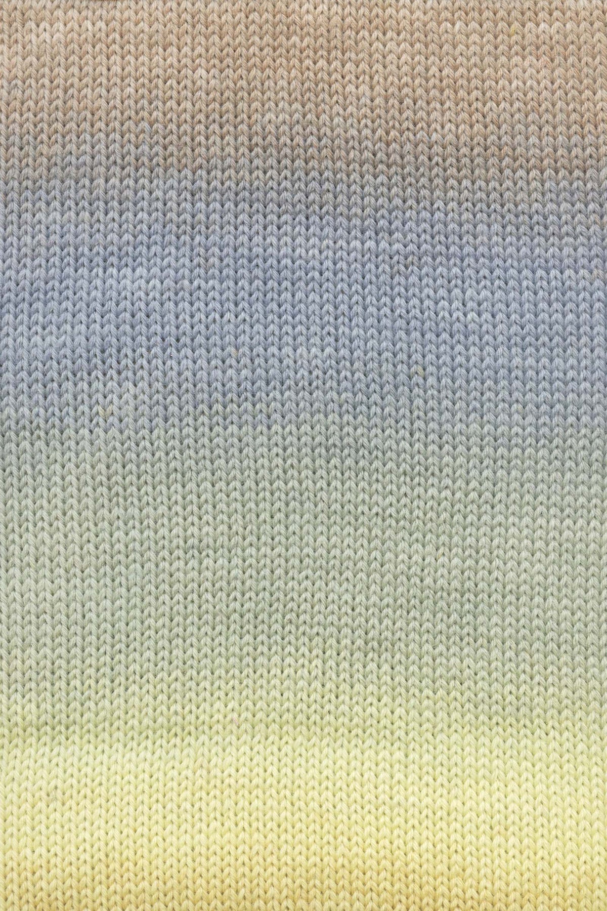 Move 6ply