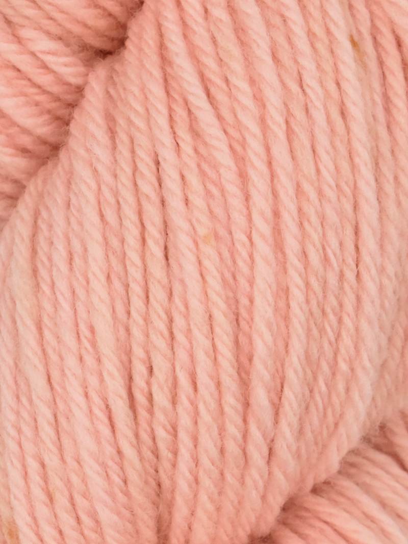 Falkland Worsted