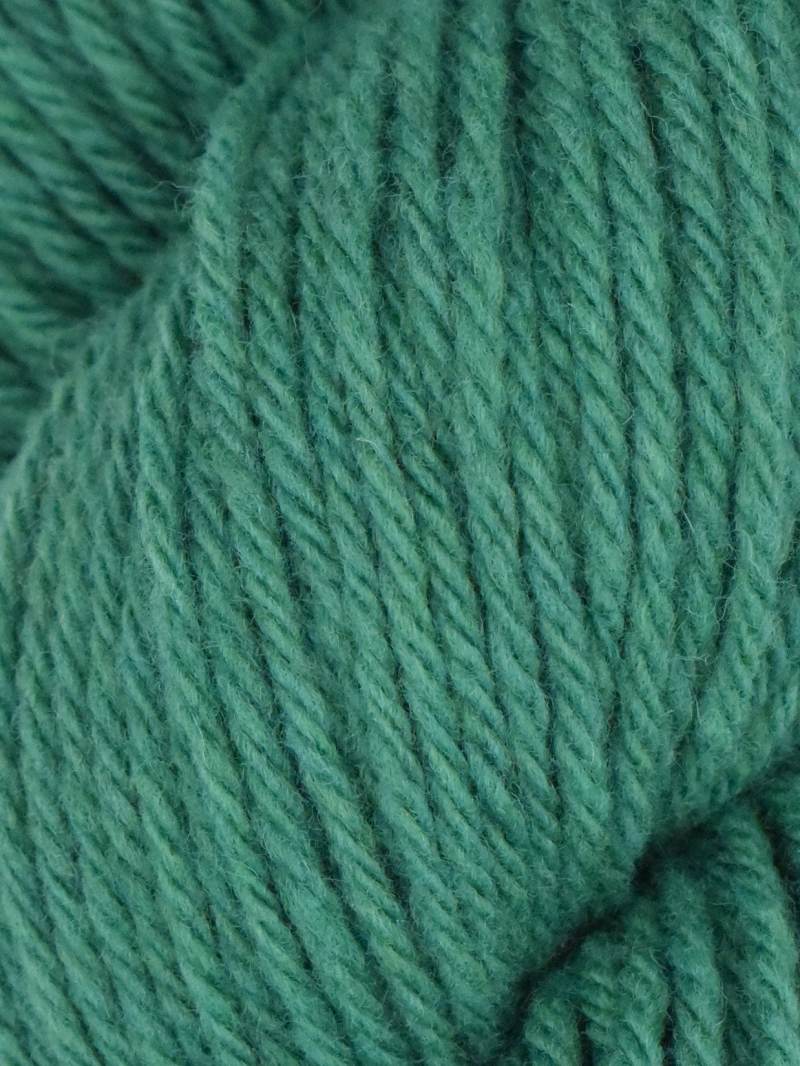 Santa Cruz