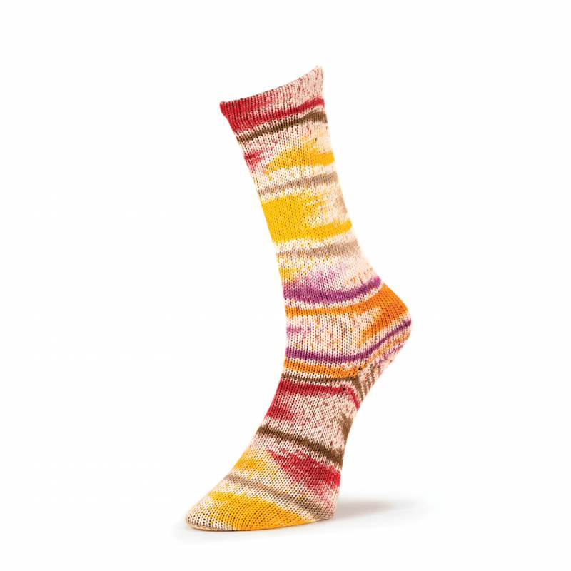 Summer Socks Fancy