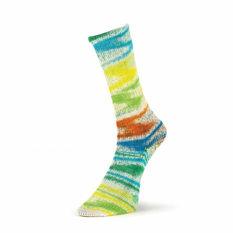 Summer Socks Fancy